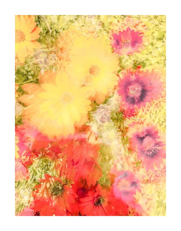 Flower Springtell